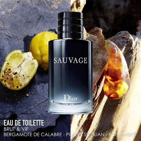 sauvage eau de toilette sephora.